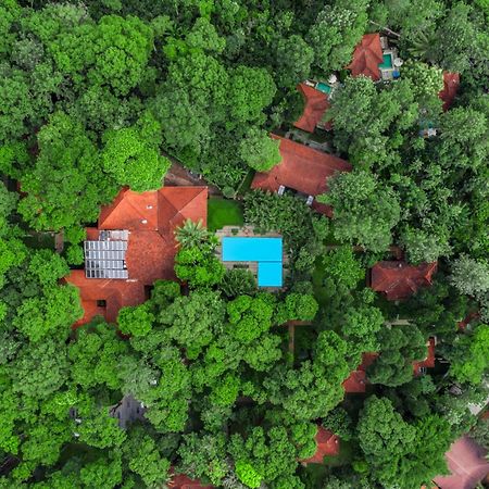 Greenwoods Resort, Теккаді Екстер'єр фото